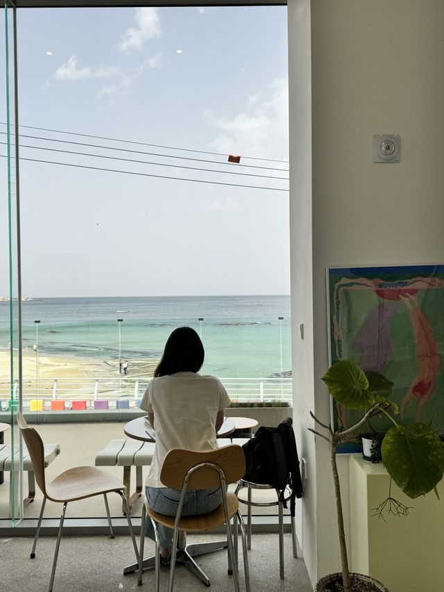 오션뷰 무지개 해안도로를 볼 수 있는 카페🌈