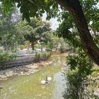 สวนอาหารต้นทองหลาง ร้านบรรยากาศร่มรื่น
