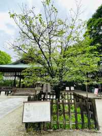【京都府】白峯神宮境内にある潜龍大神（龍神）