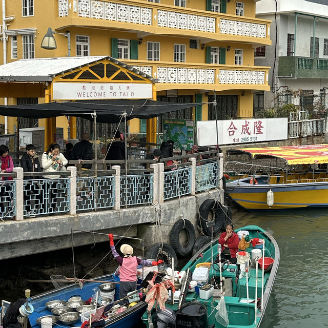 Fishing village in Hong Kong