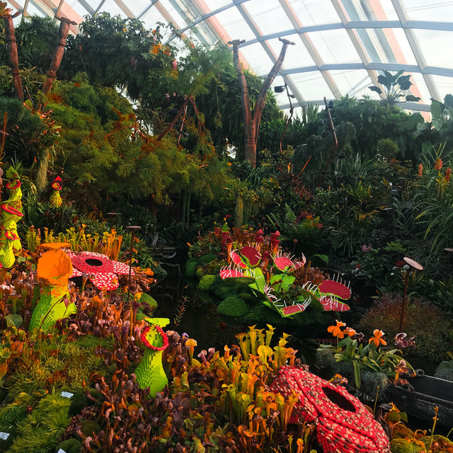 A Magical Escape to Cloud Forest, Singapore 🌿