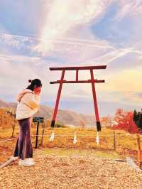 【山梨】神社好きは絶対行くべき🤍その名も天空の鳥居