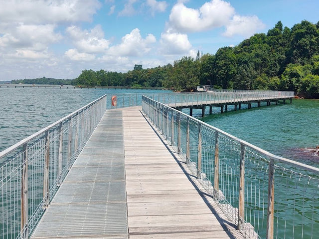 Chek Jawa Wetlands