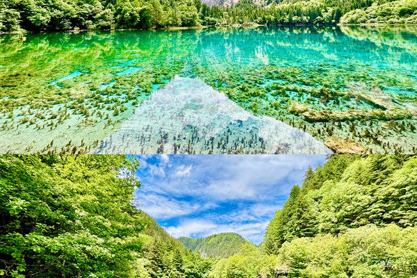 【四川】九寨溝之五花海:顏色多彩的春意怏然|Trip.com 九寨溝