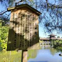 夏旅は京都へ行こう💠平安神宮東神苑で日本建築美を体感