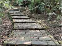 【士林】碧溪步道：春天好去處，連接大崙頭尾山