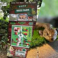 【吉隆坡】Farm In The City：親子好去處，工作人員友善