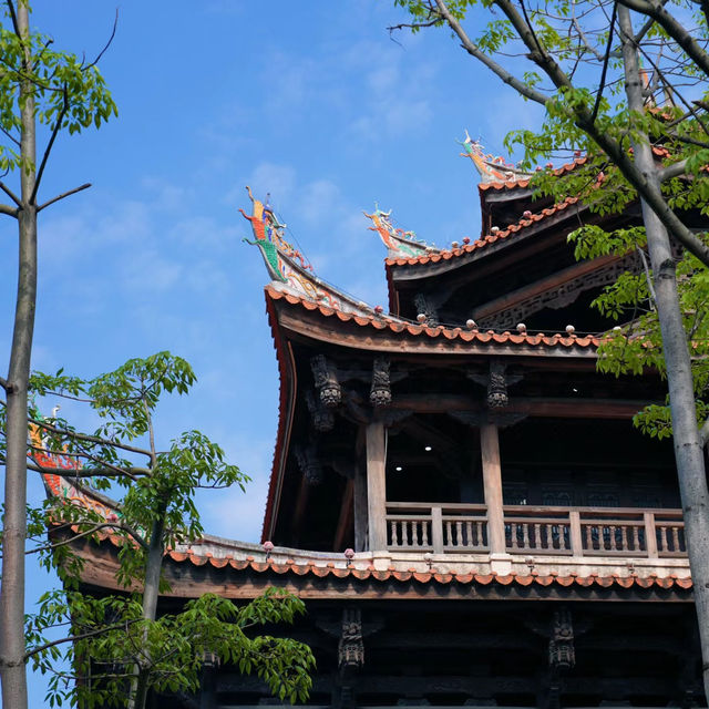 【高雄】澄清湖～荷花夢幻景緻～園林藝術之美