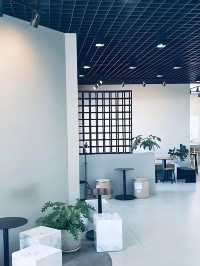 ☕ S-Curve Specialty Coffee Cafe