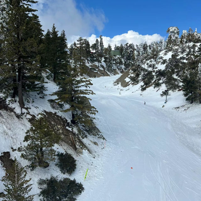 札幌國際滑雪場🎿頂級滑雪勝地～滑雪愛好者必到