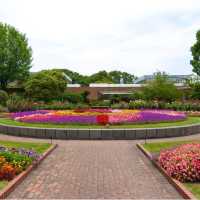 【福岡観光】色とりどりのお花が魅力的な植物園