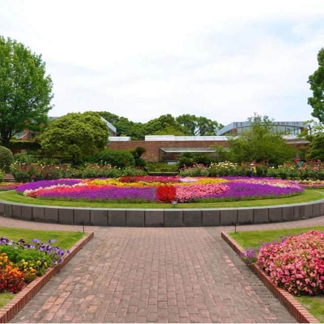 【福岡観光】色とりどりのお花が魅力的な植物園