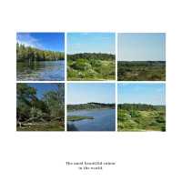「Seaton Wetlands」：觀鳥天堂