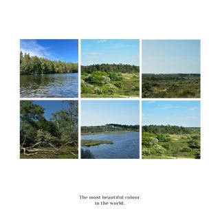 「Seaton Wetlands」：觀鳥天堂