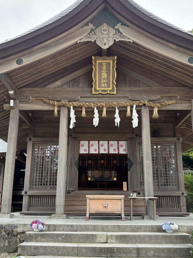 【福岡神社】初夏の風物詩のあじさい祭りがとてもキレイ