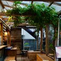  「Cafe Kurage」滿滿自然元素與藝術氣
