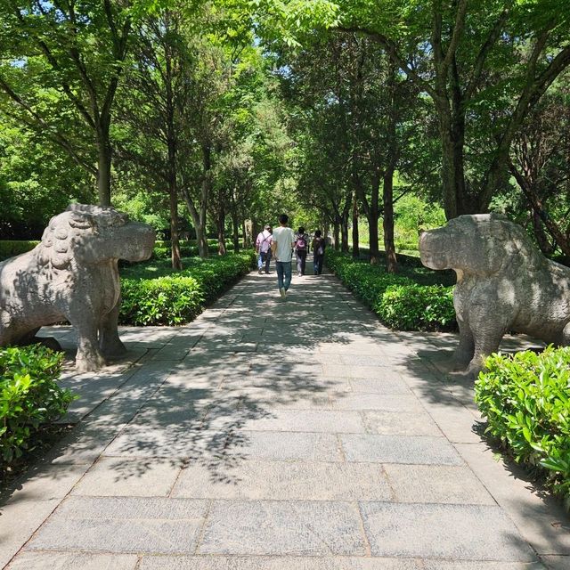 初夏遊南京，漫步明孝陵
