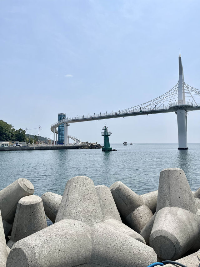 여름은 역시 바다죠!