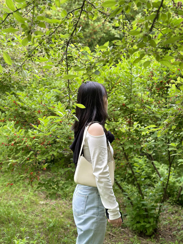 흔들그네 타며 자연을 감상하기 좋은 곳 [대전 한밭수목원]