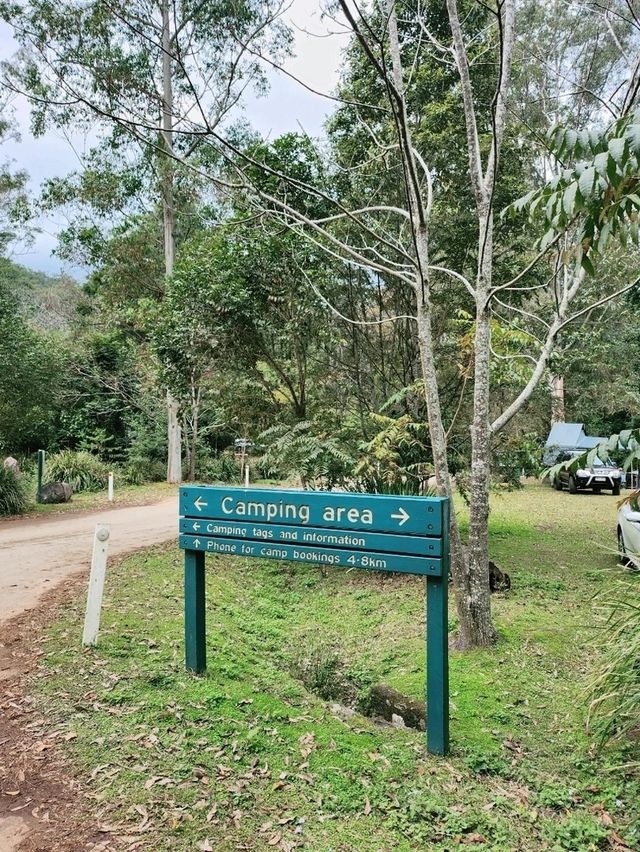 🇦🇺 Awesome Camping Site in Queensland, Australia
