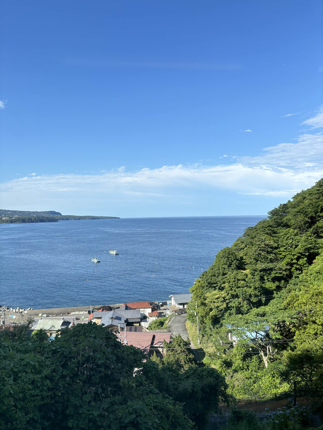 熱海昭和商店街，必吃海鮮山頂丼  