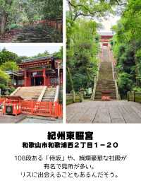 【和歌山】和歌山市観光スポットおすすめ9選