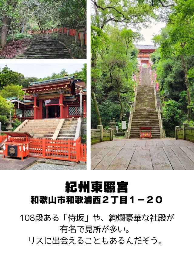 【和歌山】和歌山市観光スポットおすすめ9選