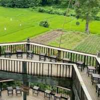 ฟาร์มเห็ดบ้านหัวน้ำ - ชมวิว ชิมพิซซ่าเห็ดโฮมเมด