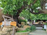 The Garden Cafe - สามโคก ปทุมธานี