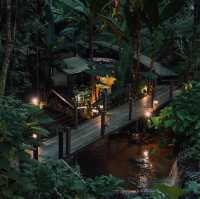 ที่พักติดลำธาร สุดชิล ดอยสะเก็ด🏕️🌳