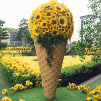 名古屋の中心でひまわり畑を楽しめる🌻
