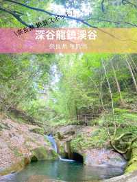【奈良】奈良県の秘境🤫㊙️深谷龍鎮渓谷