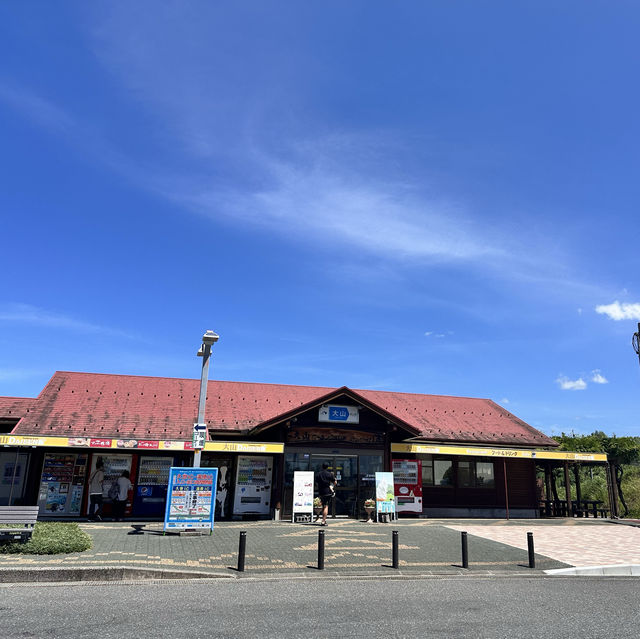 【鳥取】濃厚美味しい大山ソフトクリーム
