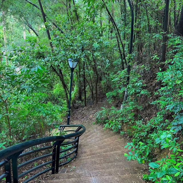 廣州二沙島宏城公園：自然寶地，放鬆心靈的理想去處！