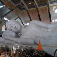 พุทธอุทยานมหารุกขปาริชาติภูก้อน