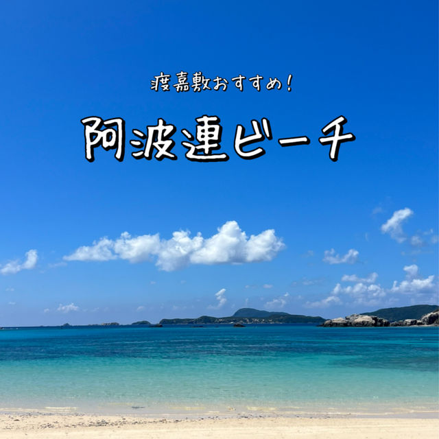 サンゴ礁が美しい🪸阿波連ビーチ