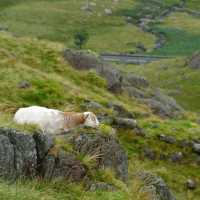 Snowdonia National Park
