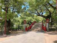 【福岡】太宰府天滿宮：九州最大神社⛩️絕對不能錯過！