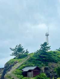 【日本東北】加茂水族館：世一水母水族館，深藍色水槽前夢幻打卡