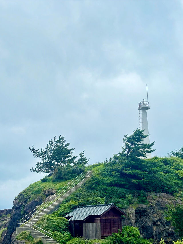 【日本東北】加茂水族館：世一水母水族館，深藍色水槽前夢幻打卡