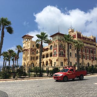 이집트🇪🇬 알렉산드리아 시원한 바다와 이국적 매력