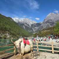 Kunming Unveiled: A Tapestry of Natural Wonders and Ancient Charm