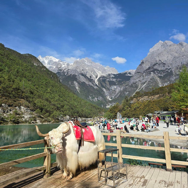 Kunming Unveiled: A Tapestry of Natural Wonders and Ancient Charm