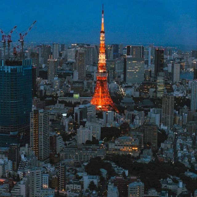 Tokyo: Where Tradition Meets Innovation