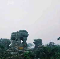 ป่าหินในสายหม่านหมอก