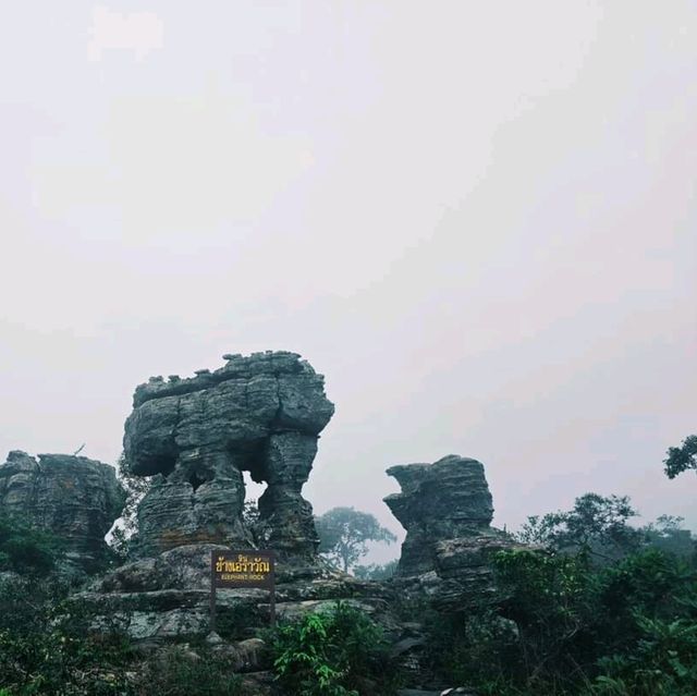 ป่าหินในสายหม่านหมอก
