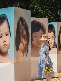 五感で感じるアートの祭典🖼️浅間フォトフェスティバル