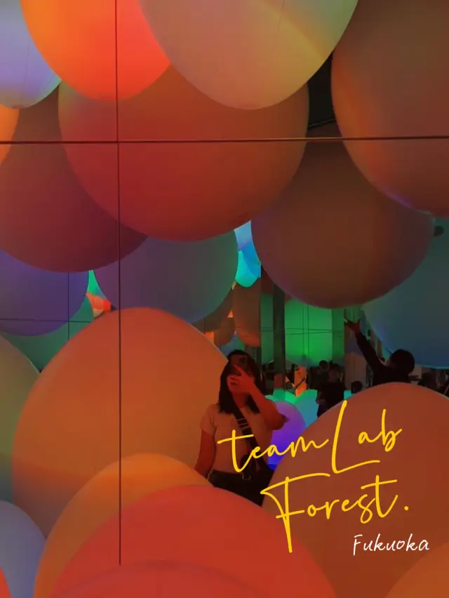 探索福岡 teamLab 森林