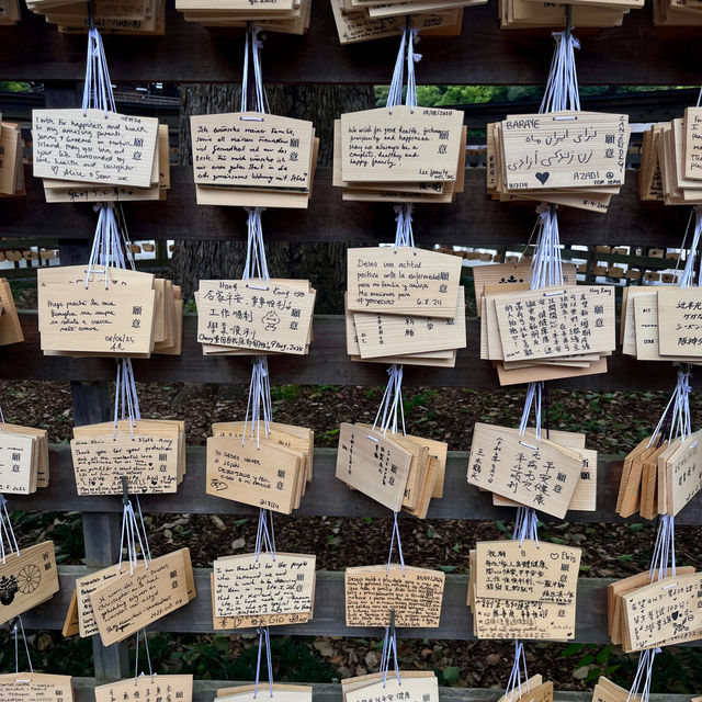 Discover Serenity at Meiji Jingu Shrine! 🌿⛩️
