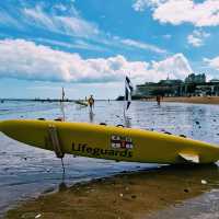 Treasures of the Tide: Viking Bay Beach